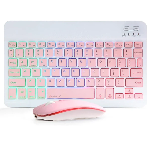 ZR955 Pembe Rgb Km Set ürün görseli 1
