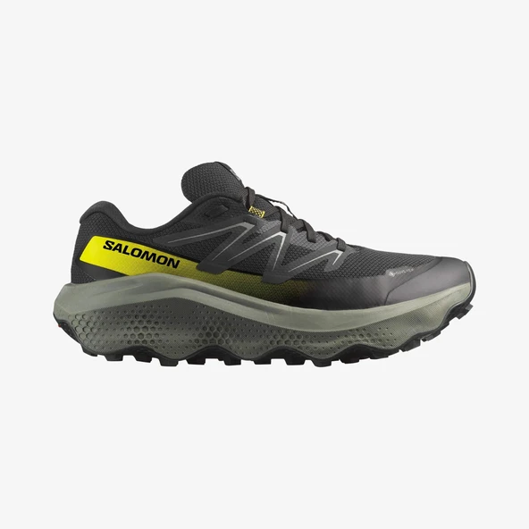 Salomon Ultra Flow 2 Gore-Tex Erkek Ayakkabı ürün görseli 1