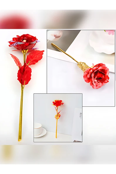 rkmstore Sonsuzluk Gülü Hediyelik Gül Ev Dekor  Sevgiliye Hediye Anneler Günü Hediyesi Solmayan Gül ürün görseli 1