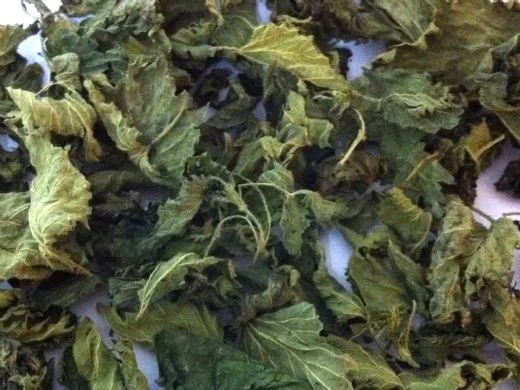Isırgan Otu 300 Gr Organi?k ( Doğal Kurutulmuş, Elenmiş, Katkısız ) ürün görseli 1