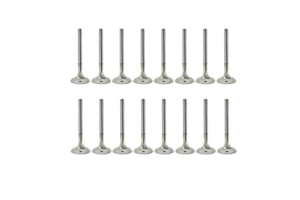 TETIK OPL-131-SUPAP TAKIM-641 325-VECTRA B X20XEV ürün görseli 1