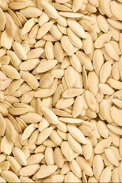 Kabak Çekirdeği 500 g - Resim 6