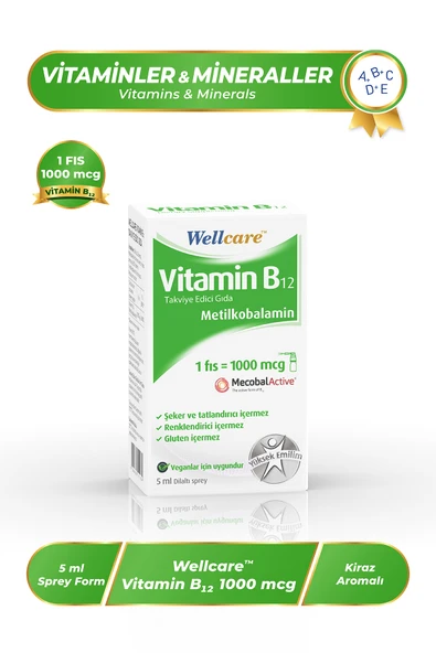 WELLCARE VITAMIN B12 1000 SPREY ürün görseli 1