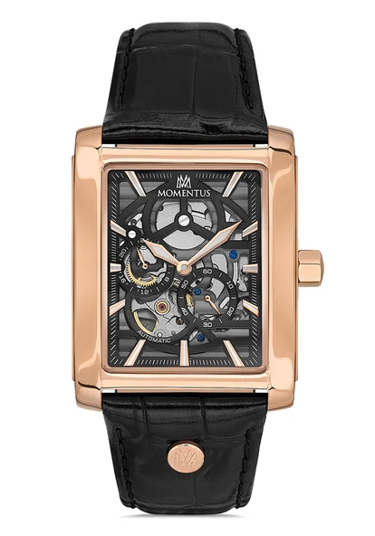 MOMENTUS TM333R-04BR Erkek Kol Saati ürün görseli 1