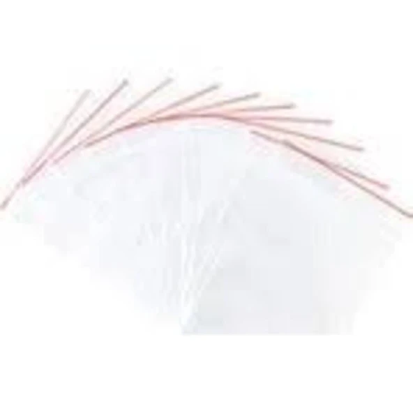 Ethex Kilitli Torba 15 cm x 18 cm 600'lü Paket ürün görseli 1