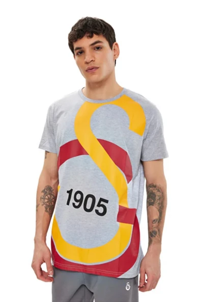 Galatasaray Büyük Logolu Tee Gri T-shirt ürün görseli 1