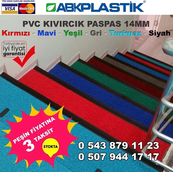 Colourmat Kıvırcık Paspas - Resim 3