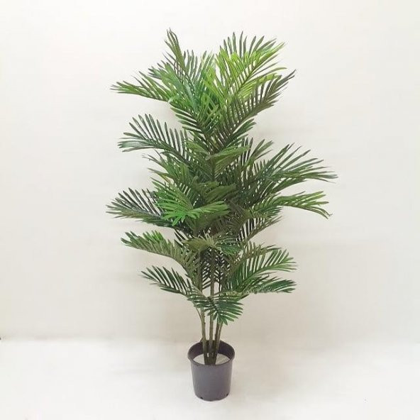 Yapay Ağaç Kentia Palm 150 cm 45-0043 ürün görseli 1
