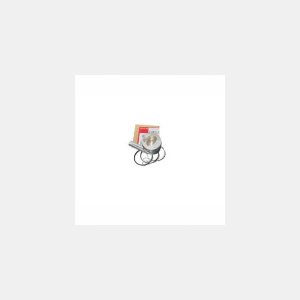 Honda Activa Piston Takımı 0.25 ürün görseli 1