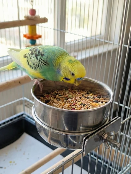 Vidalı Sistem Paslanmaz Çelik Kuş Mama ve Su Kabı ( 10 cm ) ürün görseli 1