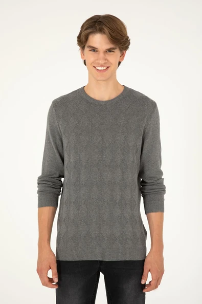 U.S. Polo Assn. Erkek Minimalist Desenli Regular Fit Uzun Kol Kazak ürün görseli 1