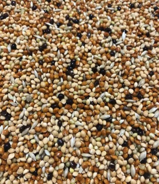 Muhabbet Kuşu Yemi Karışık Darı 1 Kg ürün görseli 1