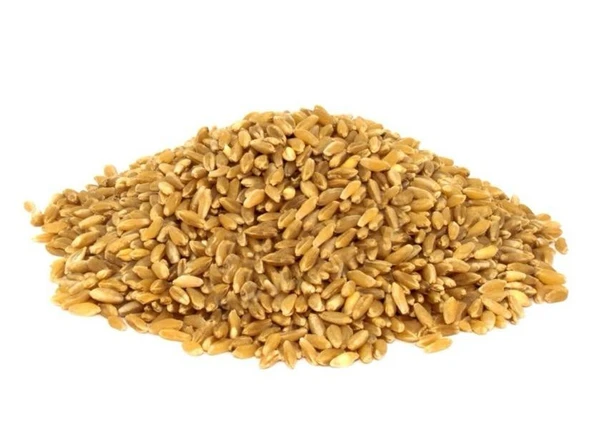 Hediklik Buğday 1 Kg ürün görseli 1