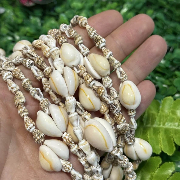 Büyük Küçük Mix Deniz Kabuğu ürün görseli 1