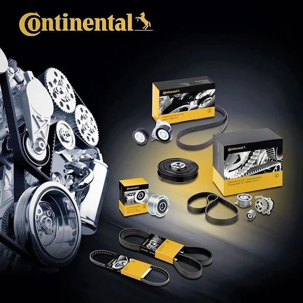 CONTI 6PK1115 Kanallı V Kayış Partner-Cıtroen-Vw-Honda-Audi ürün görseli 1