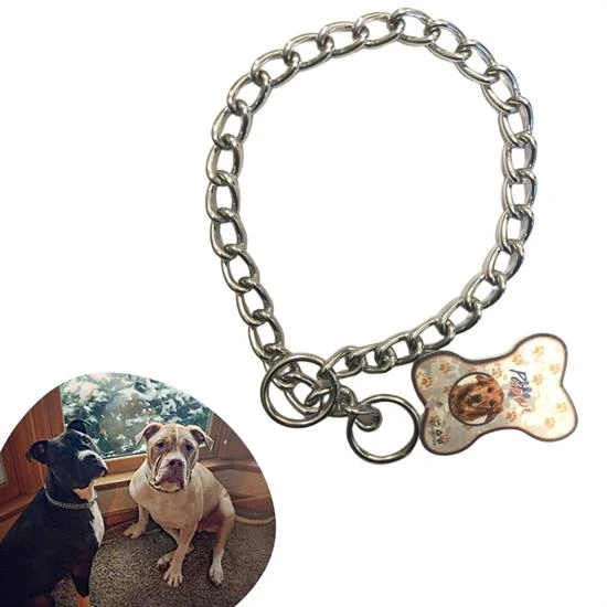 65 cm Uzunlukta Zincir Model Köpek İçin Boyun Tasması (5250) ürün görseli 1