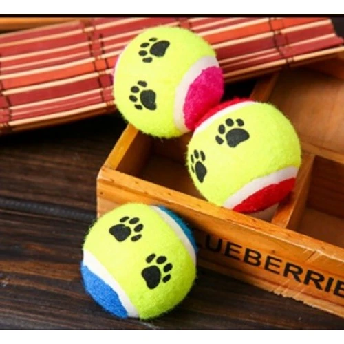 At Getir Köpek Eğitim Topu (5250) ürün görseli 1