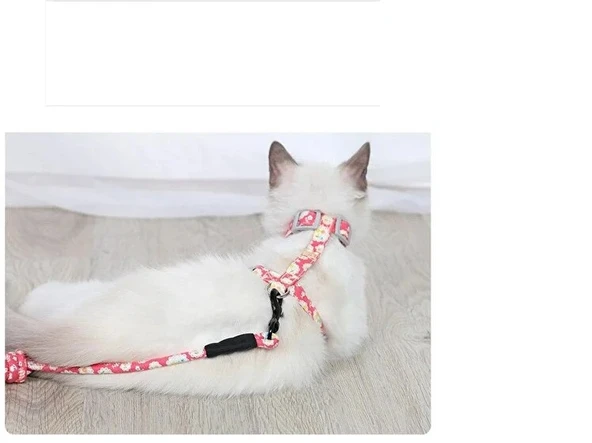 Kedi Gezdirme Göğüs Tasması - Resim 3