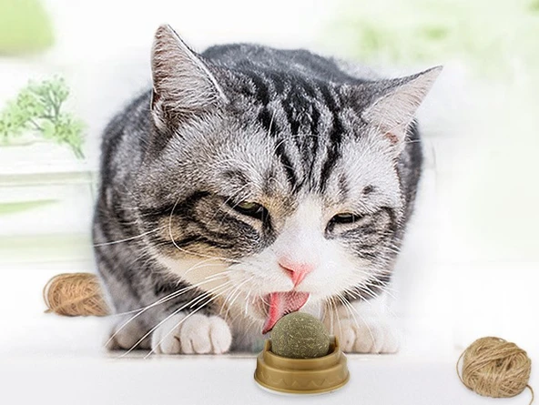 Kedi Otu Oyun Topu ürün görseli 1
