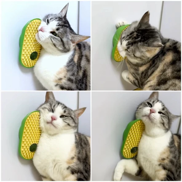 Silikon Kaşıyıcılı Kedi Otu - Resim 4