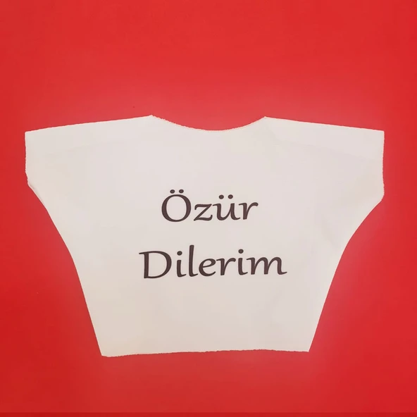 Özür Dilerim Yazılı Peluş Oyuncak Ayı Tişörtü ürün görseli 1
