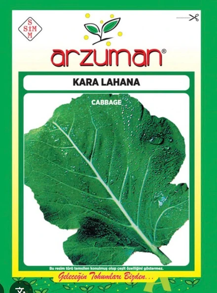 Arzuman Kara Lahana Tohumu ürün görseli 1