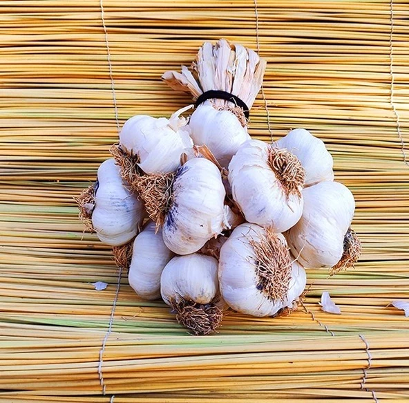 Sarımsak - 1 Kg - Resim 2