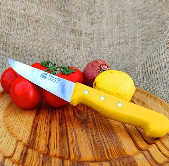 Mutfak Bıçağı - 24 Cm Plastik Sap ürün görseli 1