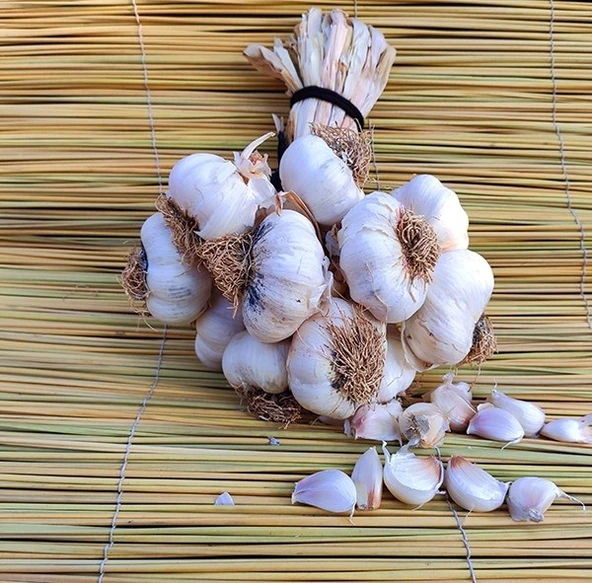 Sarımsak - 1 Kg - Resim 3