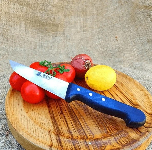 Kasap Bıçağı - 26 Cm Plastik Sap ürün görseli 1