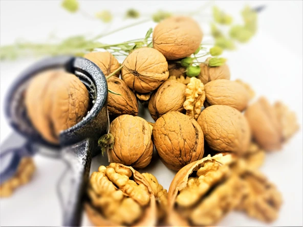 Ceviz Maraş 18 (1 Kg) - Resim 2