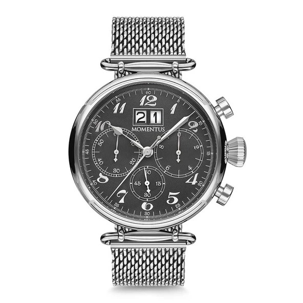 Momentus TimeMaster Collection TM250S-04SS Erkek Kol Saati ürün görseli 1