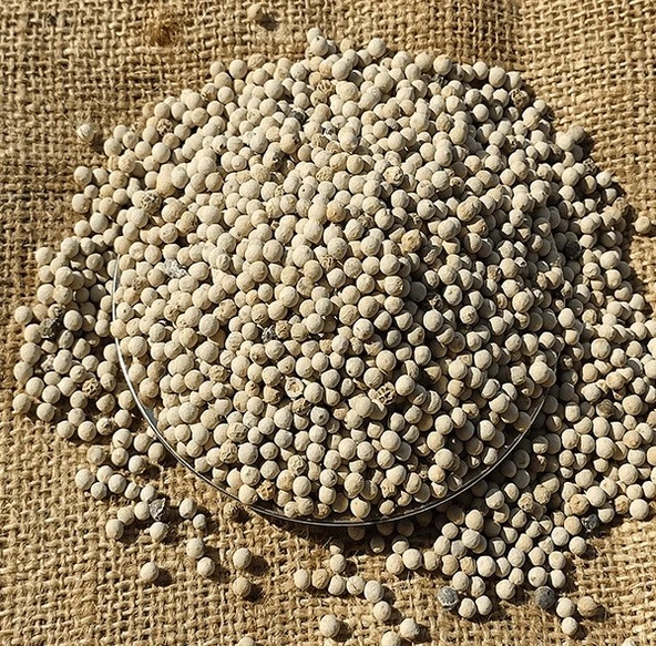 Tane Beyaz Karabiber - 100 Gr ürün görseli 1