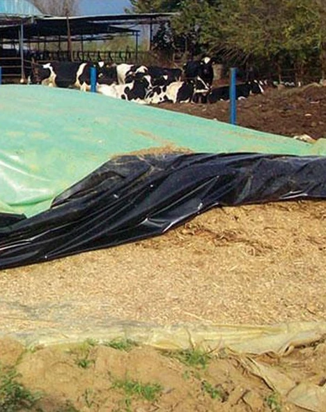 Silage Örtüsü Çiftrenk(Siyah-Yeşil) Uv'li - Resim 2