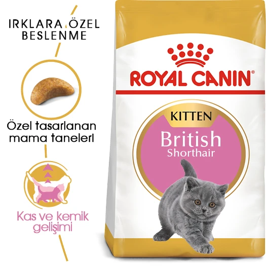 Royal Canin Kitten British Shorthair Yavru Kedi Maması 2 Kg ürün görseli 1