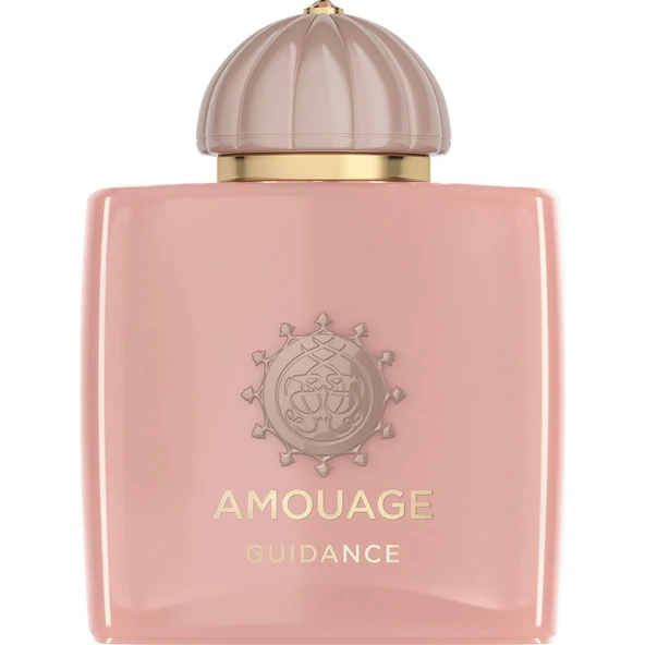 Guidance Edp 100 ml Parfüm ürün görseli 1