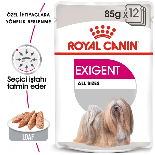 Royal Canin CCN Exigent Yaş Köpek Maması 85 Gr ürün görseli 1