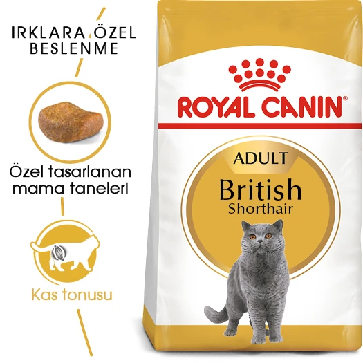 Royal Canin British Shorthair Yetişkin Kedi Maması 4 Kg ürün görseli 1