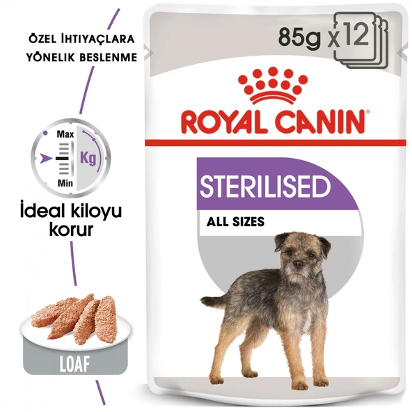 Royal Canin CCN Sterilised Kısırlaştırılmış Köpek Yaş Maması 85 Gr ürün görseli 1