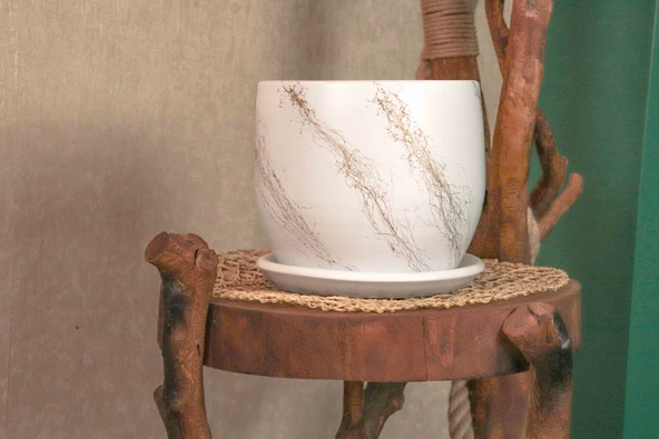 Bitki Tasarımı  Beyaz Üzeri Gold Tabaklı Terracota Toprak Saksı Saksılık Salon Çiçeklik 19 CM ürün görseli 1
