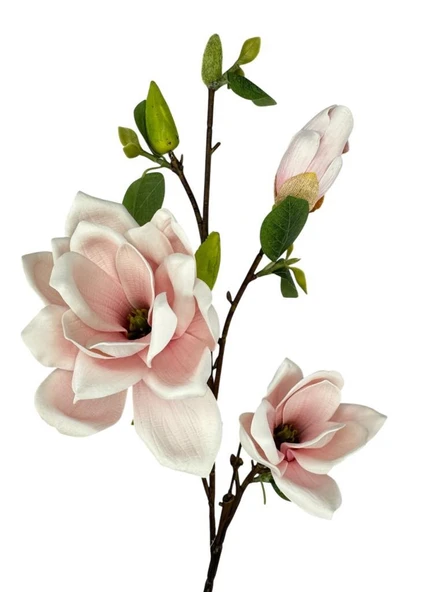 Yapay Çiçek Eva Açık Pembe Manolya 3 Çiçekli Uzun Dal 90cm Gerçeksi Doku ürün görseli 1