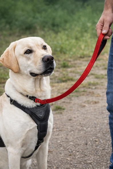 Guinzaglio Aria M 120 × 2.5 cm Kırmızı Köpek Tasması ürün görseli 1