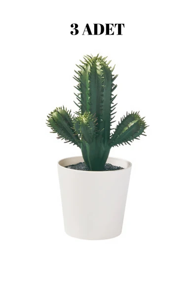 IKEA Premium Ürün Kaliteli Üretim Dayanıklı Kullanışlı Şık İç Dış Mekan 6 Cm Yapay Bitki Kaktüs FEJKA ürün görseli 1