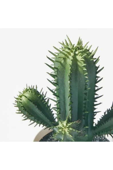 IKEA FEJKA yapay bitki, 6 cm - Resim 3