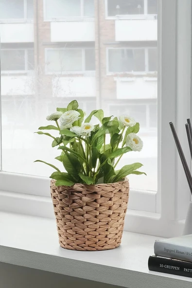 IKEA Frıdfull Hasır Saksı 12 Cm - Su Sümbülü ürün görseli 1