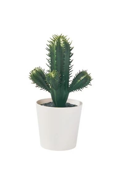 IKEA Premium Ürün Kaliteli Üretim Dayanıklı Kullanışlı Şık İç Dış Mekan 6 Cm Yapay Bitki Kaktüs FEJKA ürün görseli 1