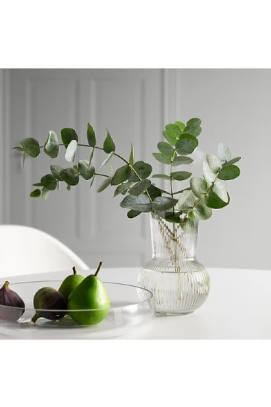 IKEA Padrag Vazo 17 Cm 10470991 ürün görseli 1