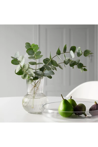 IKEA Dekoratif Cam Vazo Yükseklik: 17 Cm Ikea Çiçek Bitki Vazosu Çap: 12 Cm ürün görseli 1