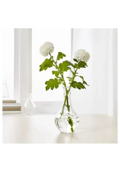 IKEA Premium Ürün Kaliteli Üretim Dayanıklı Lüks Şık Modern Tasarım Gösterişli Cam Vazo ürün görseli 1