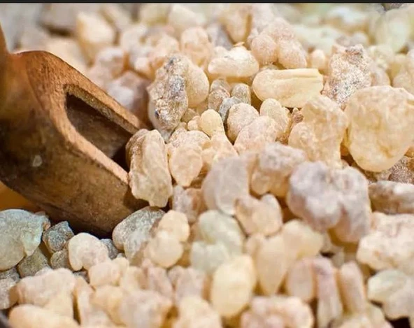 Sandaloz Sakızı 200 Gr ürün görseli 1